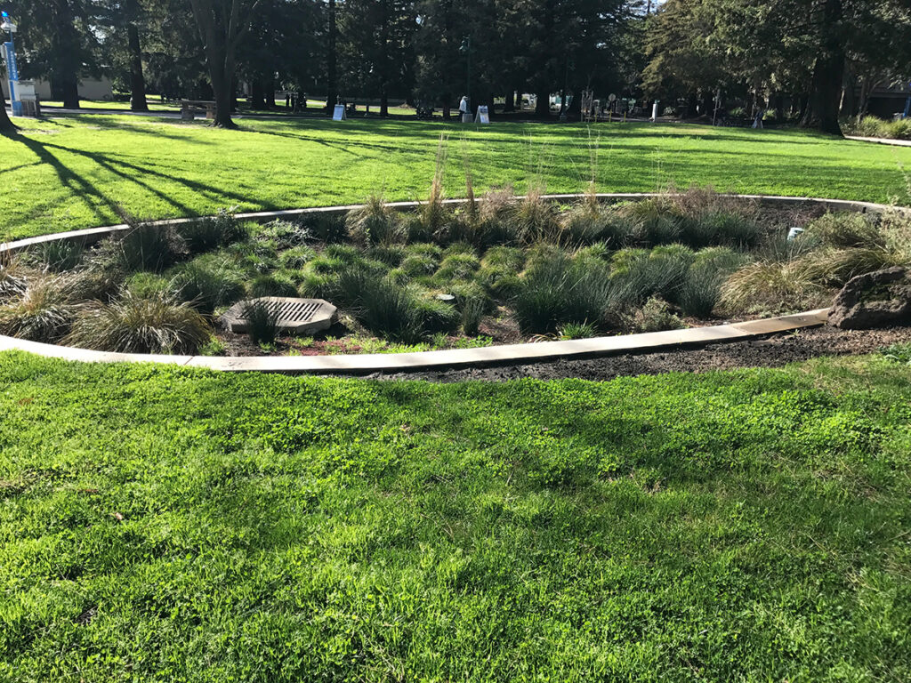 rain garden demonstrating green infrastructure