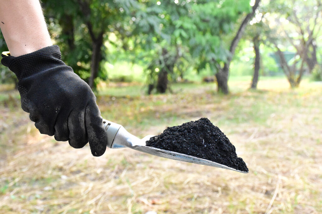 gloved hand holding shovel with pile of biochar