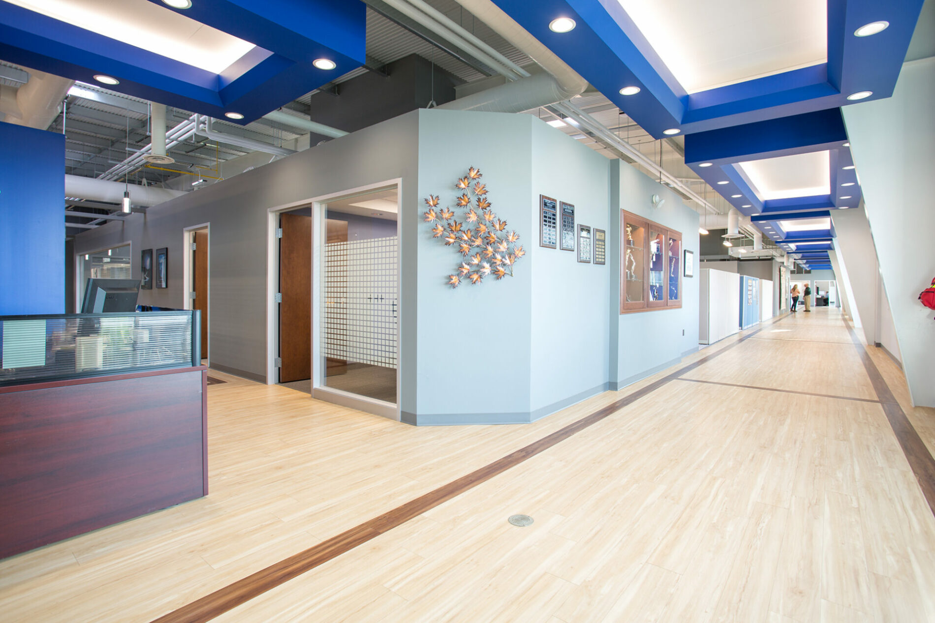 An image of an office room with blue features and hardwood floors.