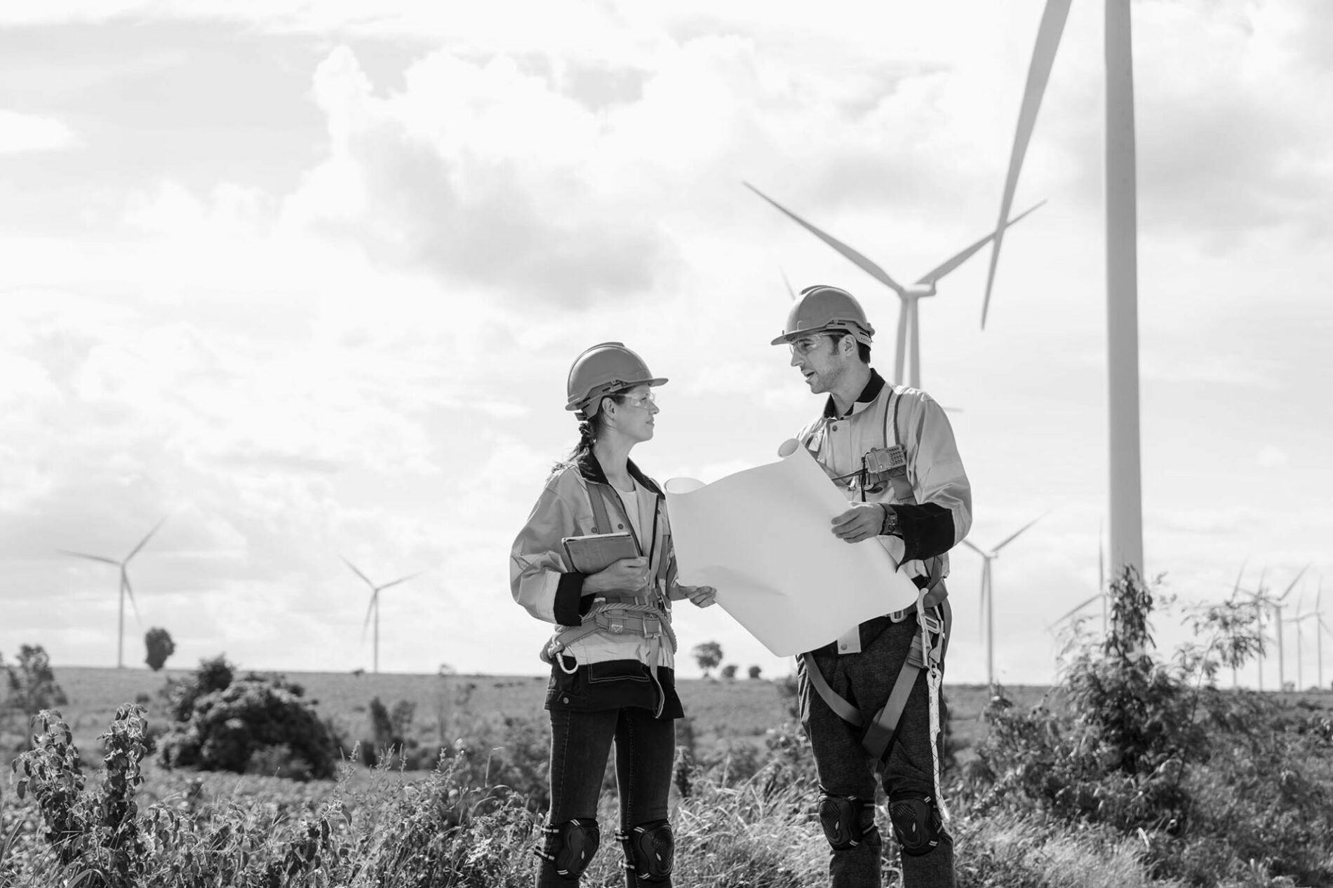 Architectural engineering worker builders looking for wind turbine blueprint drawings for wind turbine construction at windmill field farm. Alternative renewable energy for clean energy concept.